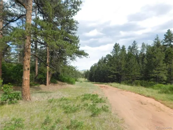 8202 Bannock, Larkspur, CO 80118