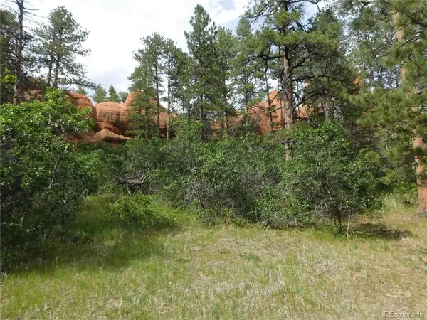 8202 Bannock, Larkspur, CO 80118