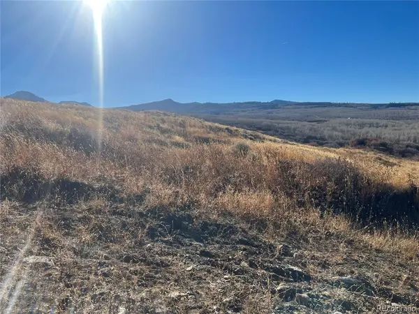 544 Timberlane, Craig, CO 81625