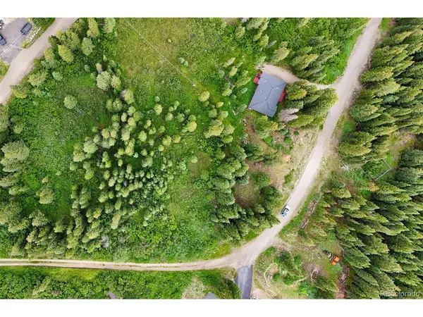 57 County Road 675, Breckenridge, CO 80424