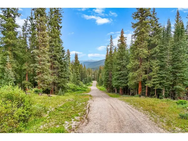 57 County Road 675, Breckenridge, CO 80424