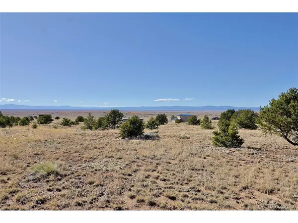 3402 Camino Del Rey, Crestone, CO 81131