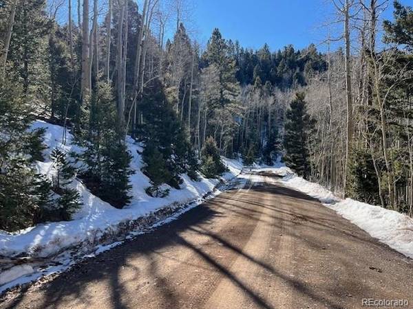 5339 Howard, Fort Garland, CO 81133