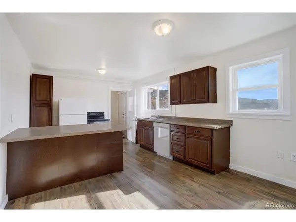 50 Singleton, Alma, CO 80420