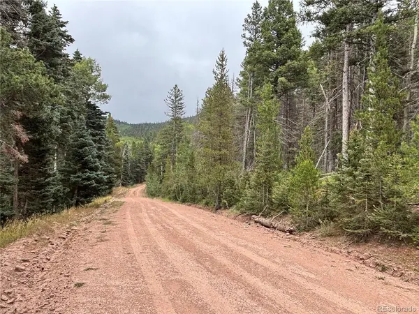0 Moir Drive, Fort Garland, CO 81133