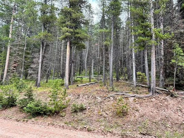 0 Moir Drive, Fort Garland, CO 81133