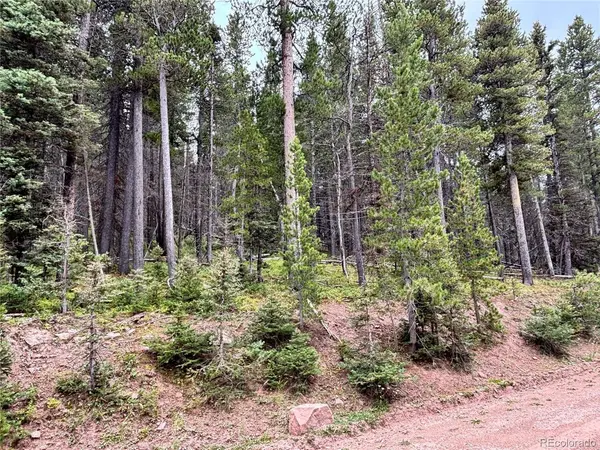 0 Moir Drive, Fort Garland, CO 81133