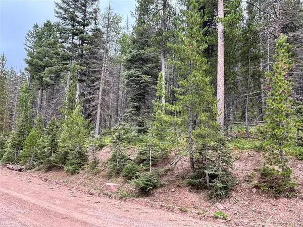 0 Moir Drive, Fort Garland, CO 81133