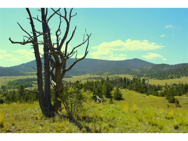 Address not disclosed, Guffey, CO 80820
