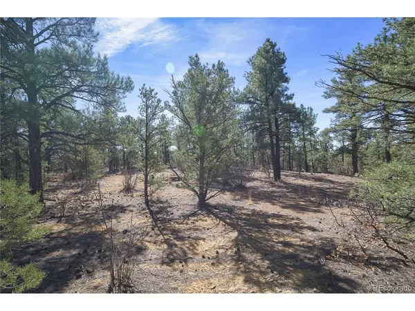 Rancho La Garita Lot 1129, Weston, CO 81091
