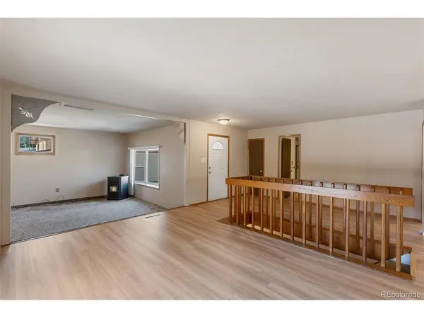 3633 Indianpipe, Colorado Springs, CO 80918