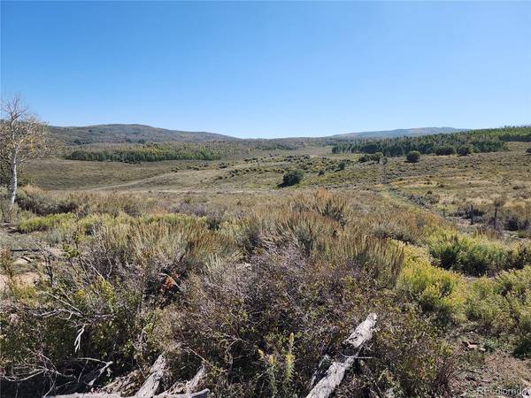 0 Divide (Mont's Draw), Gateway, CO 81522