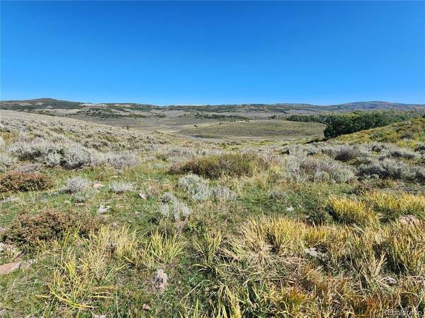 0 Divide (Mont's Draw), Gateway, CO 81522