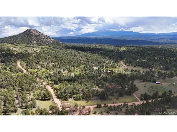 2265 Vagabond Creek, Lake George, CO 80827