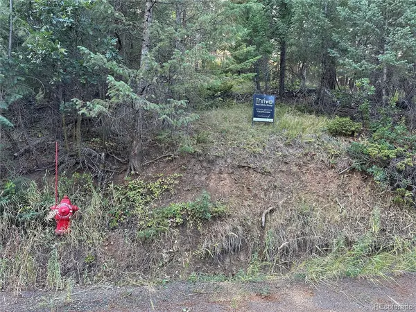 5296 Cherokee, Indian Hills, CO 80454