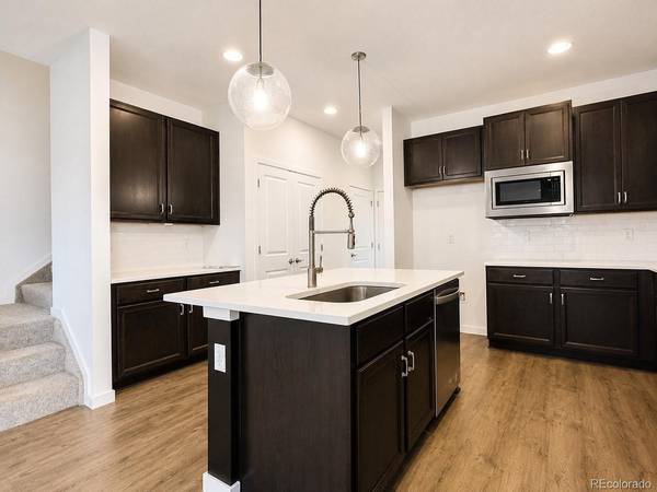 8405 Mount Ouray, Littleton, CO 80125