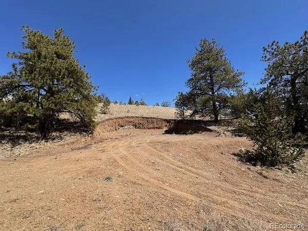 2972 Fitzsimmons, Hartsel, CO 80449