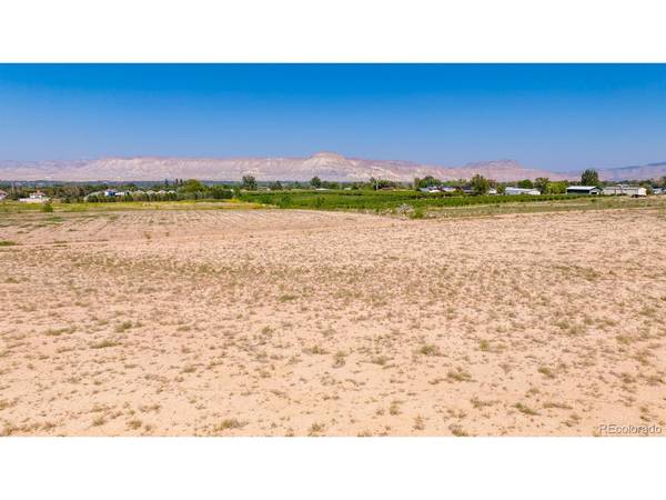 267 33, Palisade, CO 81526