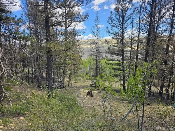1412 Redhill, Fairplay, CO 80440