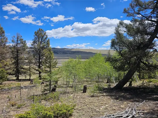 1412 Redhill, Fairplay, CO 80440