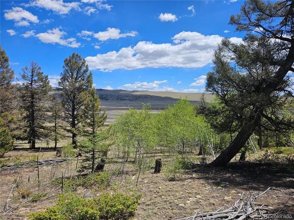 1412 Redhill, Fairplay, CO 80440