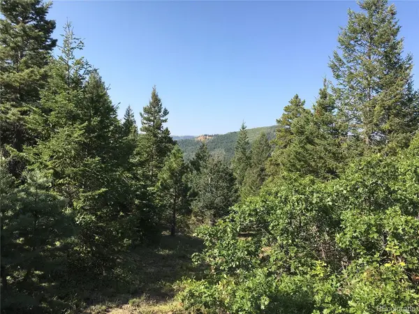 Peak View Ridge, Canon City, CO 81212