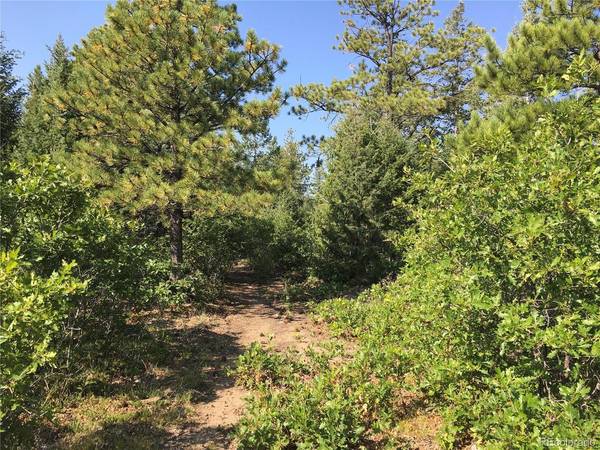 Peak View Ridge, Canon City, CO 81212