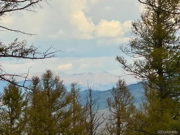 0 Middle Fork, Fairplay, CO 80440