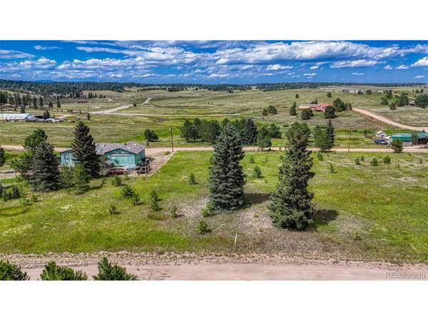 1129 Will Scarlet, Divide, CO 80814