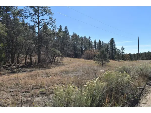 268 RANCHO LA GARITA FILING NO-8,, Weston, CO 81091