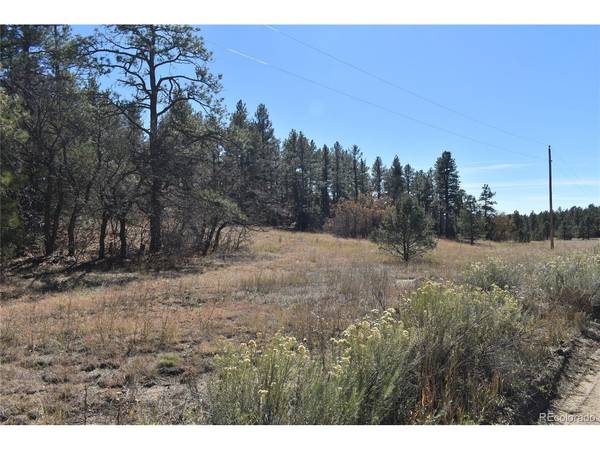 268 RANCHO LA GARITA FILING NO-8,, Weston, CO 81091