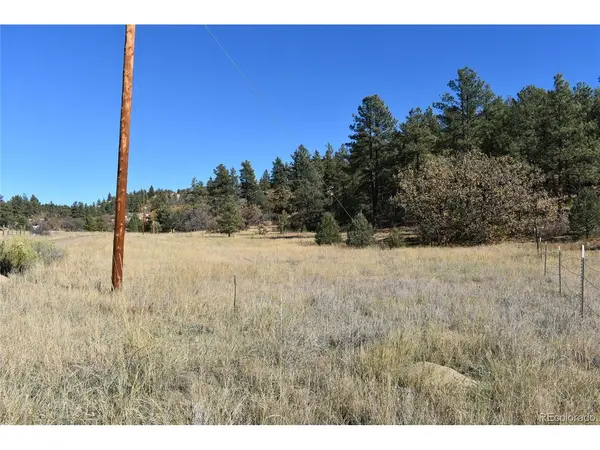 268 RANCHO LA GARITA FILING NO-8,, Weston, CO 81091