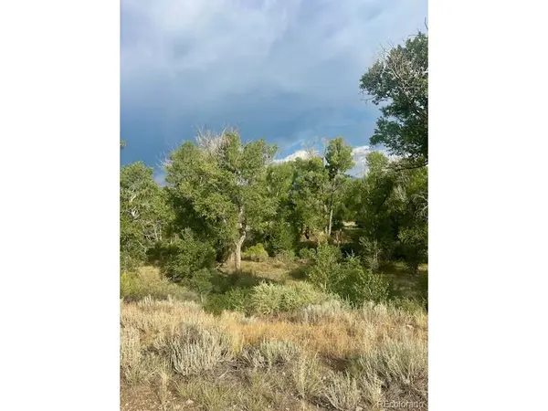 1122 Little River, Poncha Springs, CO 81242
