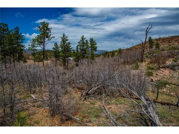 221 Cottonwood, Cotopaxi, CO 81223