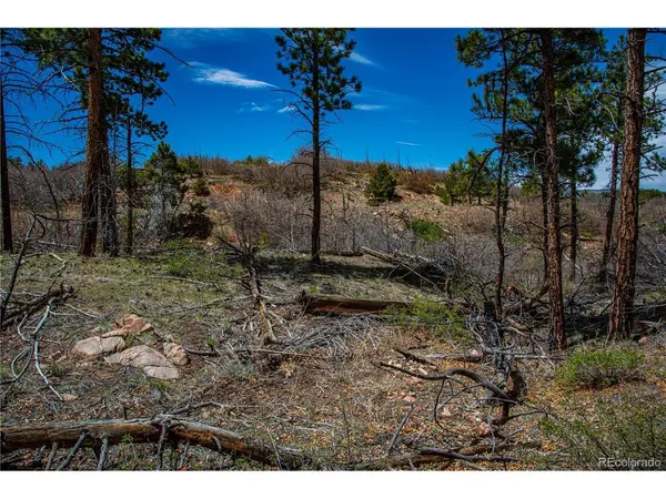 221 Cottonwood, Cotopaxi, CO 81223
