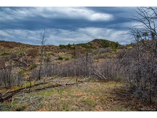 221 Cottonwood, Cotopaxi, CO 81223