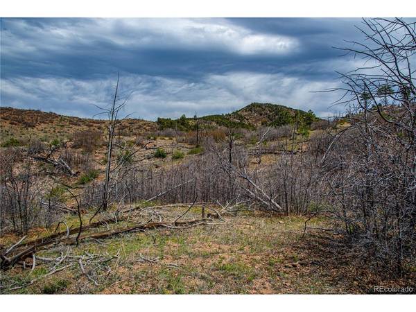 221 Cottonwood, Cotopaxi, CO 81223