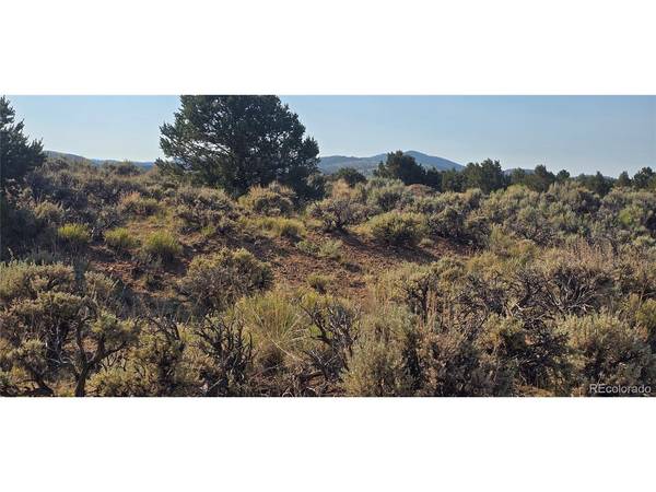 4075 Tiernan, Fort Garland, CO 81133