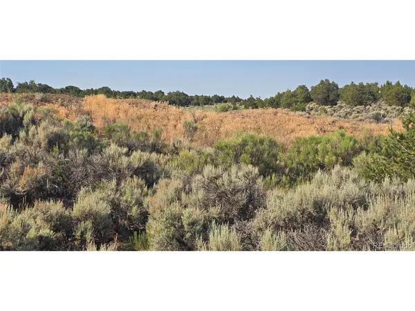 4075 Tiernan, Fort Garland, CO 81133