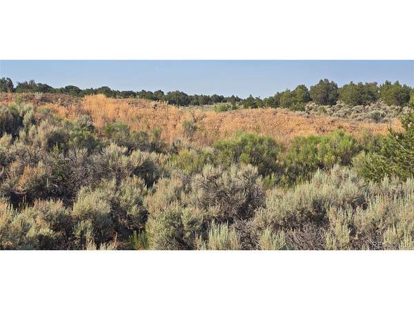 4075 Tiernan, Fort Garland, CO 81133