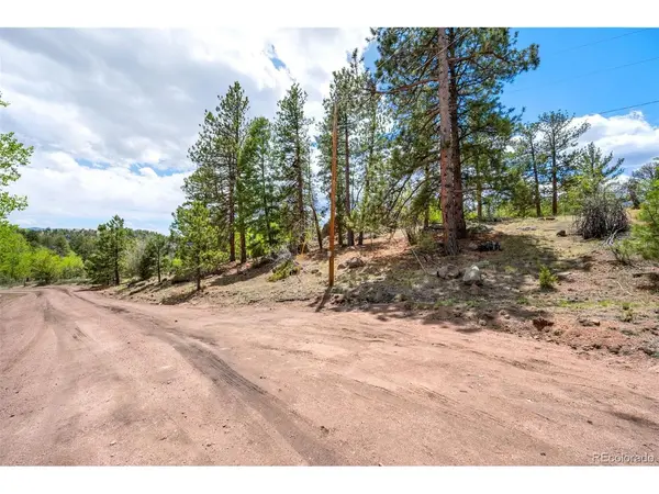 527 Plateau, Guffey, CO 80820