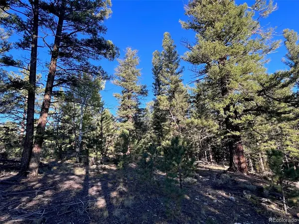 14759 Quartz, Salida, CO 81201