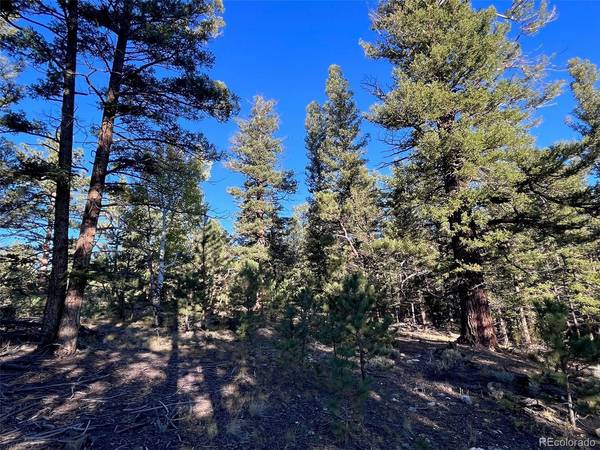 14759 Quartz, Salida, CO 81201