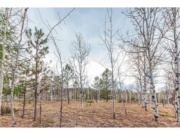 1290 Firestone, Woodland Park, CO 80863