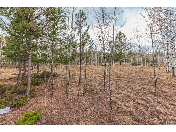 1290 Firestone, Woodland Park, CO 80863