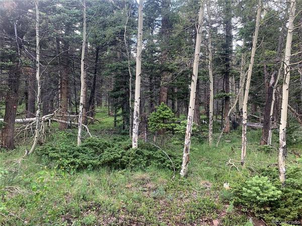 2952 LARRY, Fort Garland, CO 81133
