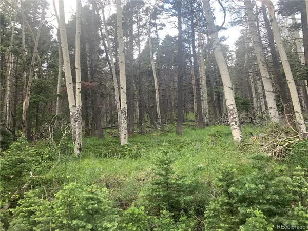 2952 LARRY, Fort Garland, CO 81133