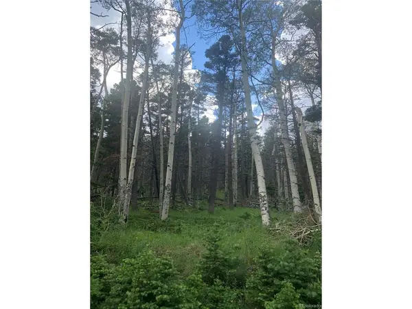 2952 LARRY, Fort Garland, CO 81133