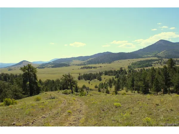 State 9, Guffey, CO 80820