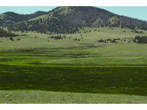 State 9, Guffey, CO 80820